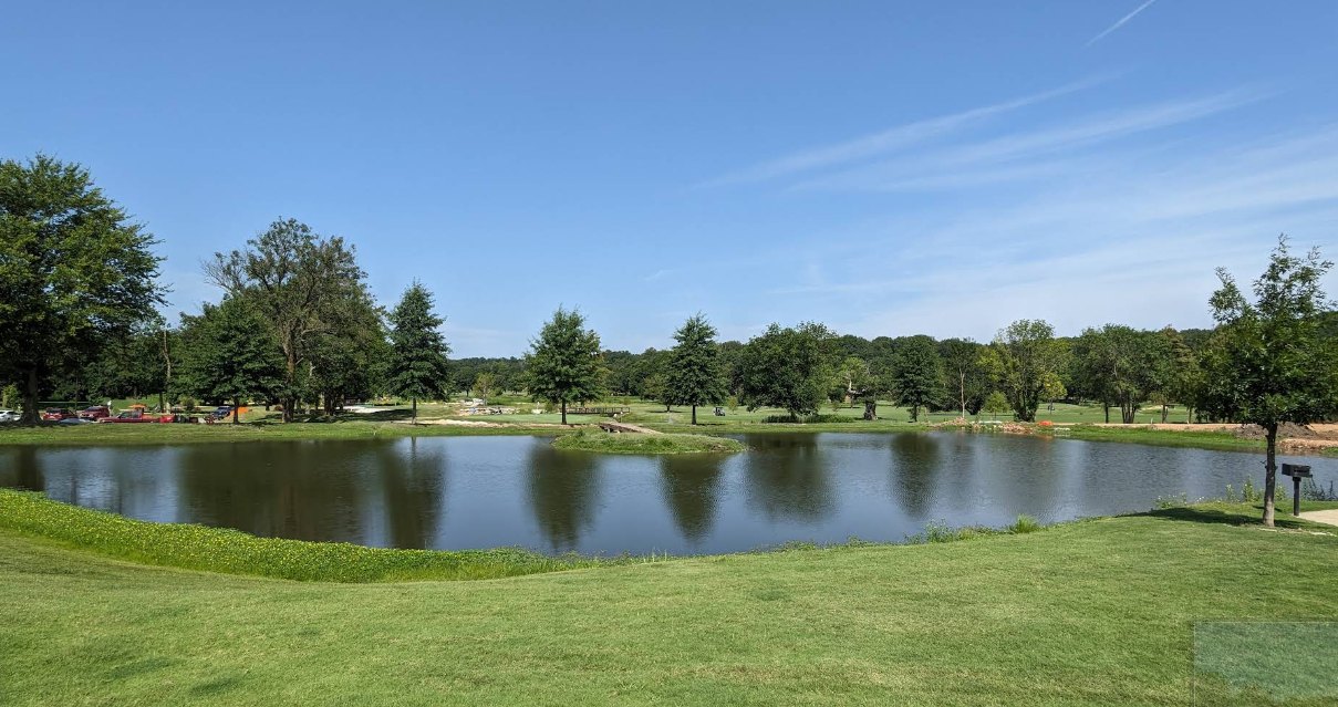 The spring-fed pond in summer