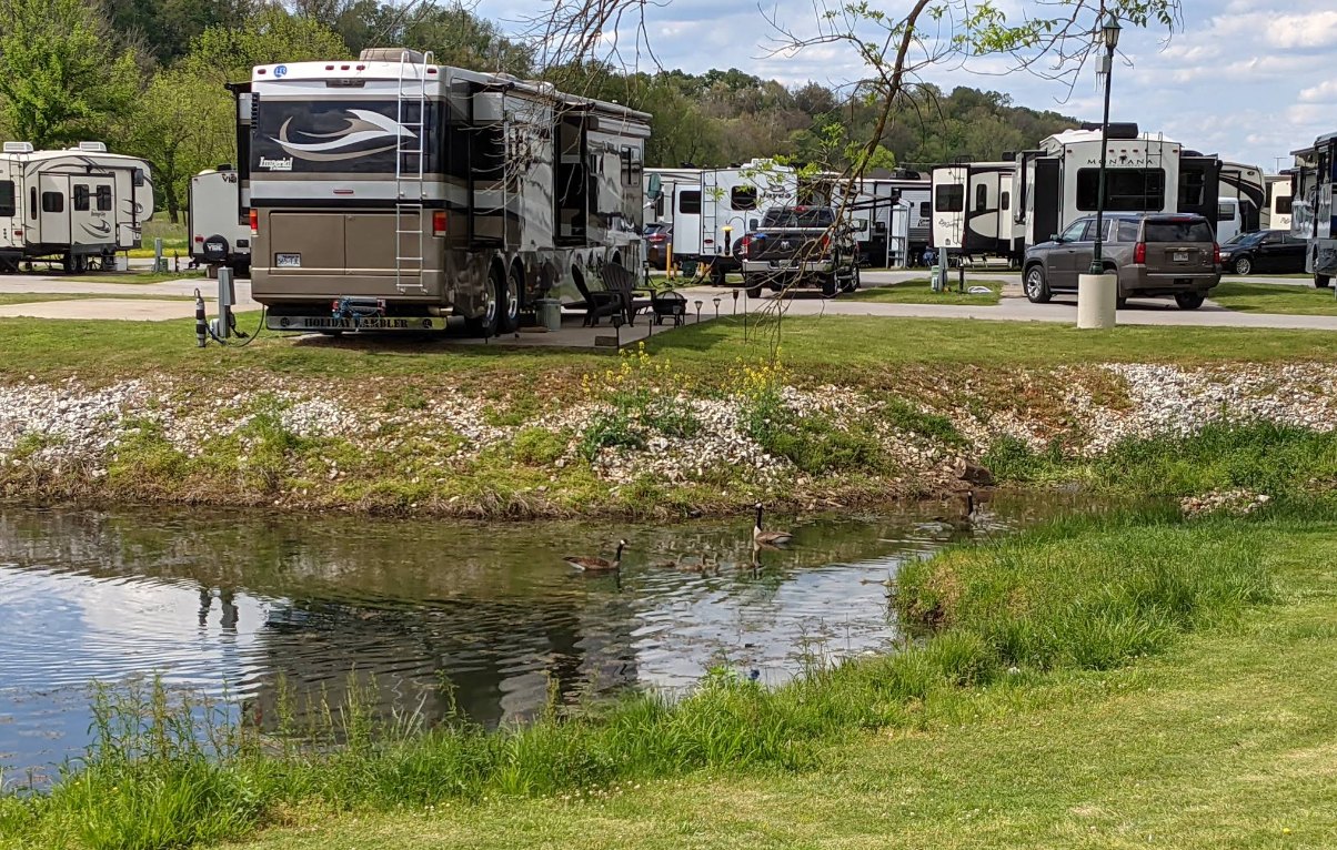 Creekside RV sites under mature trees