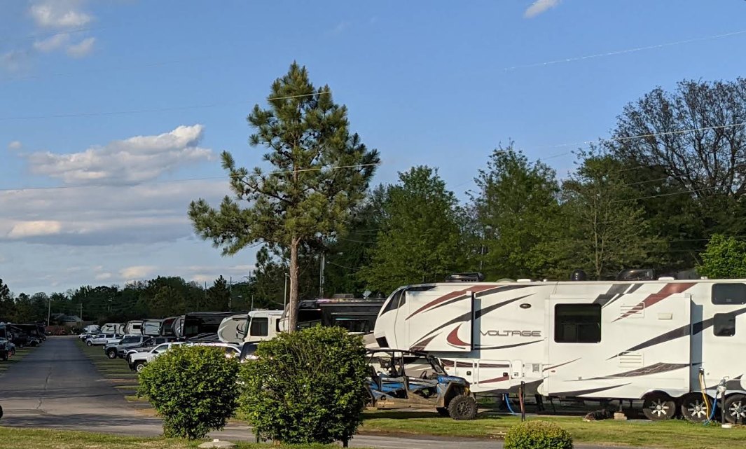 RV sites shaded by pines