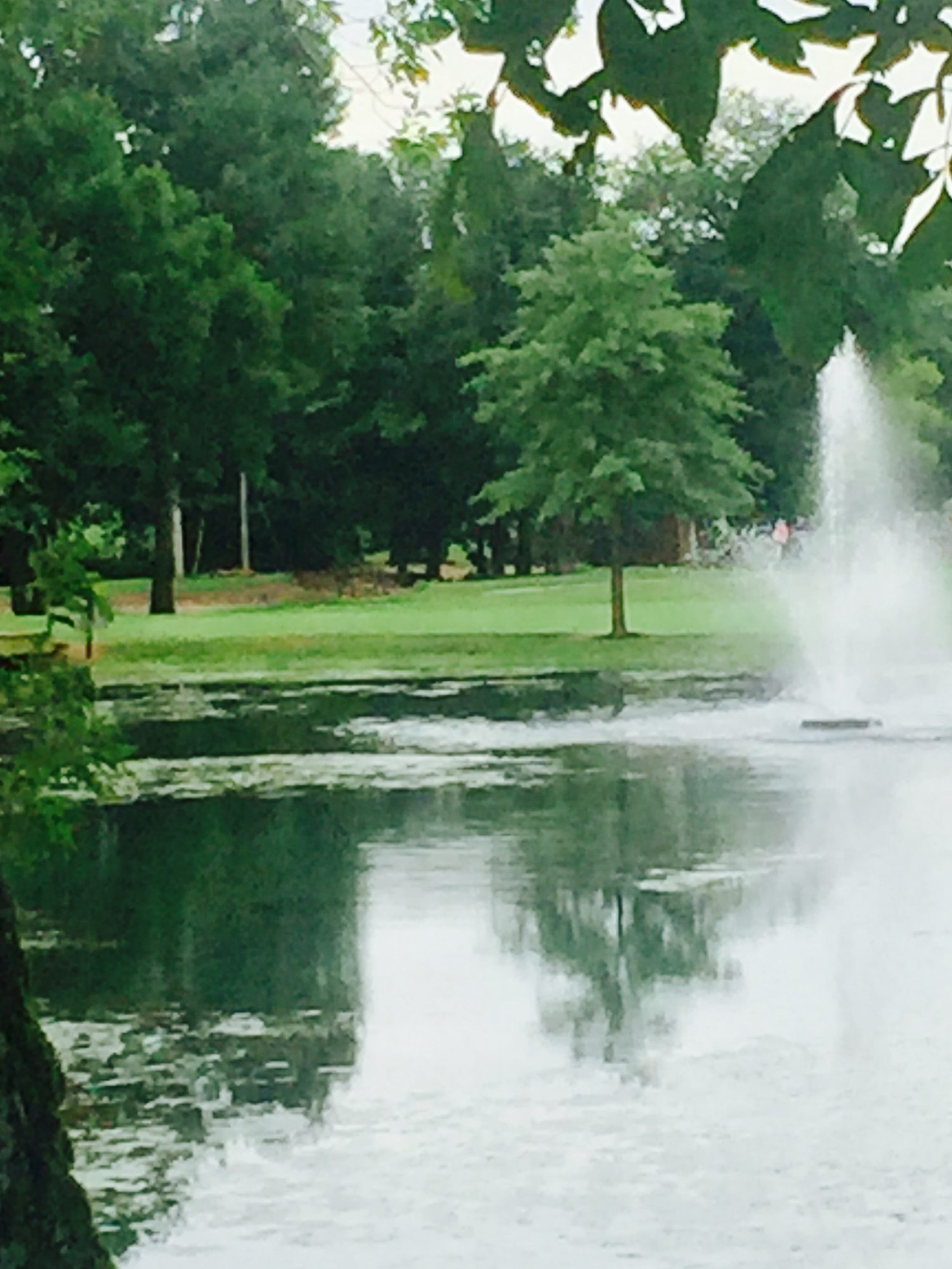 The fountain and the ninth approach